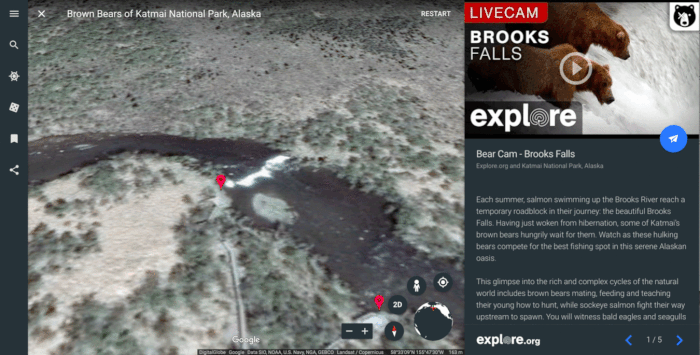 Plusieurs captures d’écran de Google Earth avec la fonction de vidéo live. Les cinq vidéos en direct sont à découvrir <a href="mailto:https://earth.google.com/web/@58,-155,3.8599637a,1000d,35y,0h,0t,0r/data=ClESTxIgODVlZWFhNmJlNDJhMTFlNmFiMzVkZjUyMDNjMzZmYzMaK0Jyb3duIEJlYXJzIG9mIEthdG1haSBOYXRpb25hbCBQYXJrLCBBbGFza2EoAg" target="_blank">ici</a>. © Google Earth