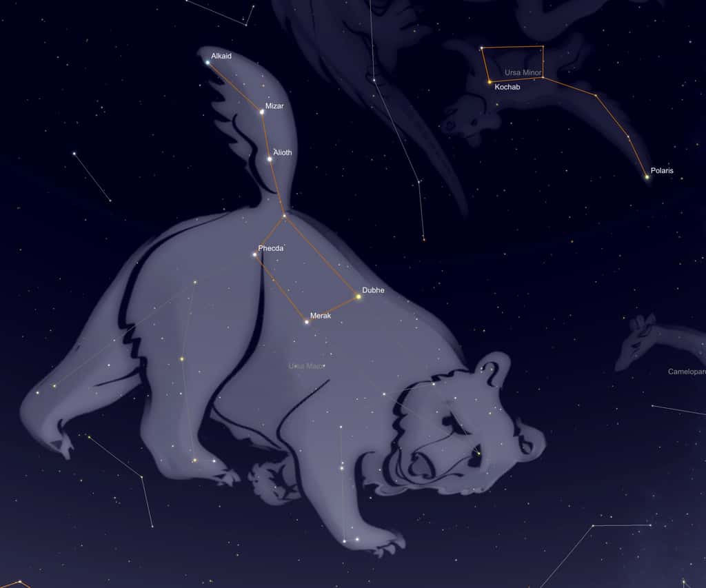 La constellation de la Grande Ourse. Les sept étoiles les plus brillantes composent l’astérisme du Grand Chariot et de la Grande Casserole. © SkySafari