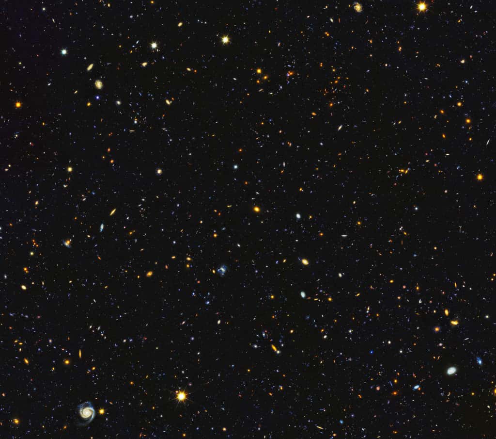 Les galaxies foisonnent dans cette image composite du projet HDUV (<em>Hubble Deep UV</em>). Téléchargez l’image en très haute résolution <a href="http://imgsrc.hubblesite.org/hvi/uploads/image_file/image_attachment/30909/STSCI-H-p1835a-f-7190x6356.png" title="HDUV GOODS-North Field" target="_blank">ici</a> (attention : 82,1 Mb). © Nasa, ESA, P. Oesch (University of Geneva), M. Montes (University of New South Wales)