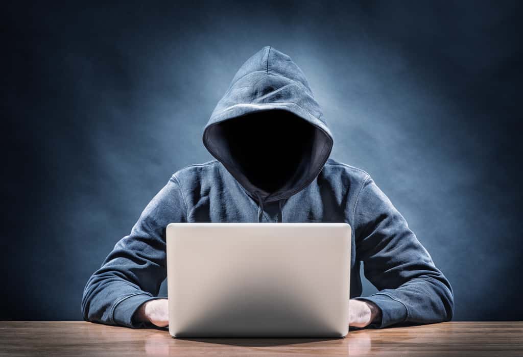 Des groupes d'hackers réutilisent des logiciels malveillants créés par d'autres pirates informatiques. © Frank Peters, Adobe Stock