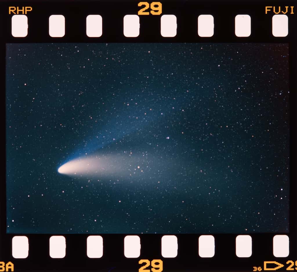 La comète Hale-Bopp, la « comète du siècle », surnommée aussi la « Grande comète de 1997 », et son iconique queue de gaz et de poussière bifide, bleue et blanche, photographiée quelques jours avant son passage au plus près du Soleil le 1er avril 1997. © Stefan Seip (Twan), Apod (Nasa)