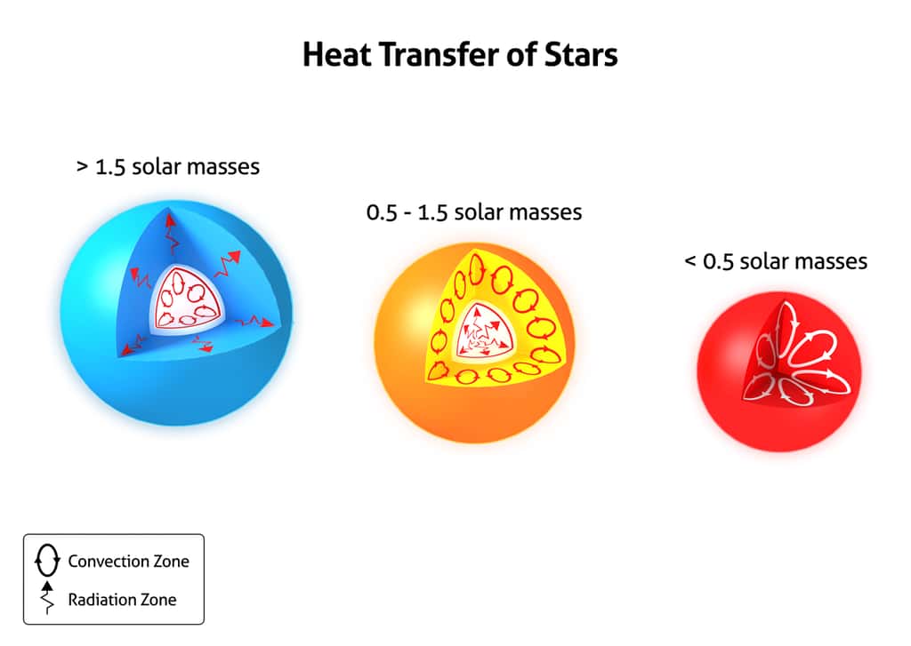 Les différents mécanismes de transport d'énergie des étoiles de petite, moyenne et grande masses. © Wikimedia Commons