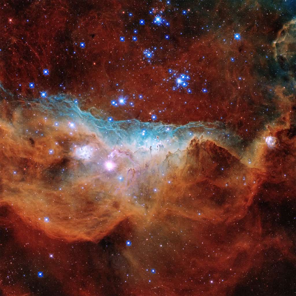 Gros plan sur NGC 2020 et sa région où se forment des étoiles. © Nasa, ESA and STScI