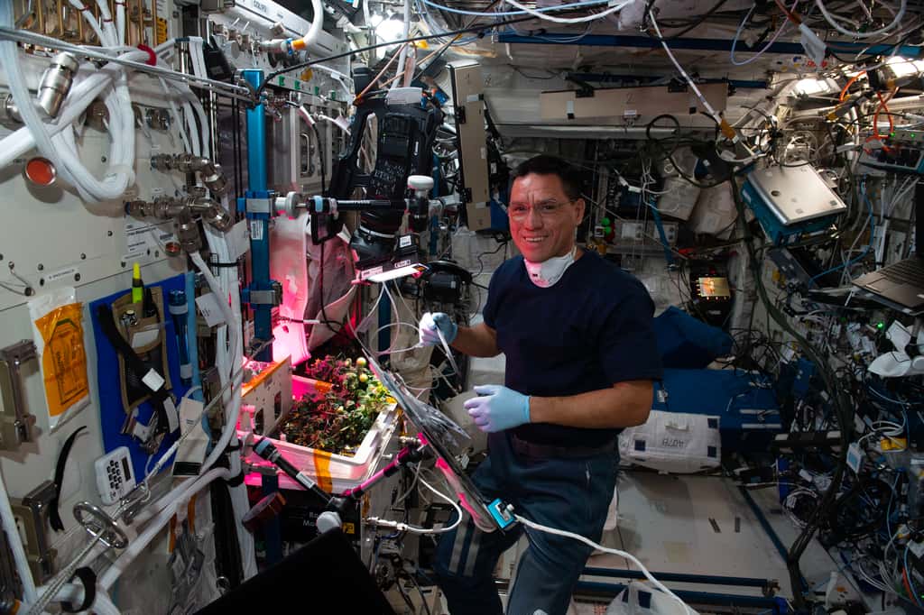L'astronaute Frank Rubio devant ses plants de tomates à bord de la Station spatiale internationale. © Nasa