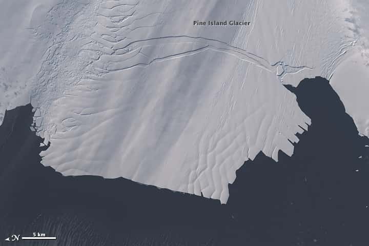 Le 28 octobre, l'extrémité du glacier de Pine Island se fracture : l'iceberg B-31 est en train de naître, repéré par le satellite Landsat 8. © Nasa, <em>Earth Observatory</em>
