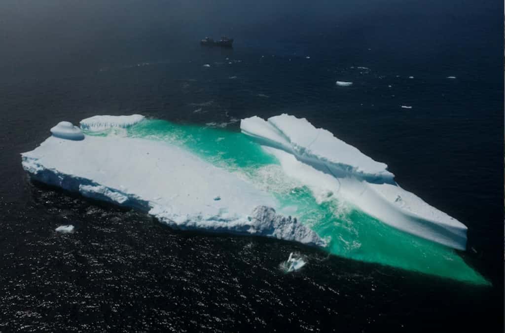 Un iceberg flottant près de Terre-Neuve, le 29 juin 2019. © Johannes Eisele, AFP/Archives