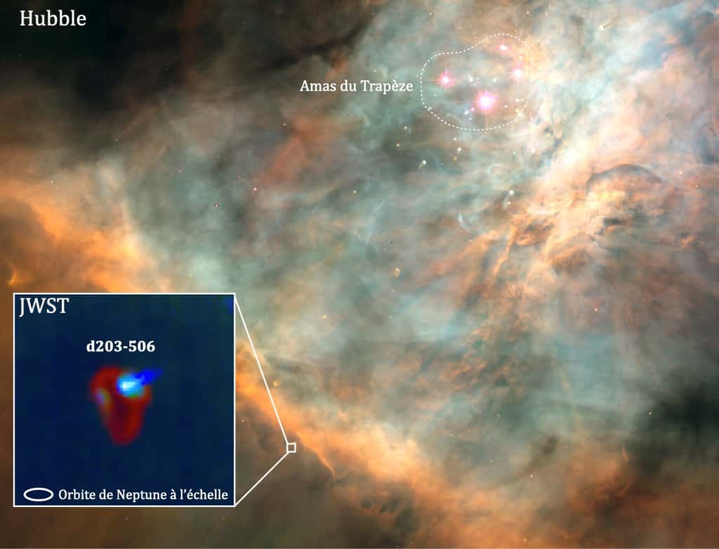 Image prise par Hubble de la nébuleuse d’Orion, et zoom avec le télescope spatial James-Webb (JWST) sur le proto-système planétaire autour de d203-506. On voit, en haut à droite, les étoiles massives de l'amas de Trapèze dont les rayonnements ultraviolets chauffent le gaz autour de la naine rouge et provoquent sa photoévaporation. Le Trapèze est un amas ouvert de jeunes étoiles dont les cinq étoiles les plus brillantes contiennent environ 15 à 30 masses solaires. Elles sont situées à l'intérieur d'un volume de 1,5 année-lumière de diamètre et sont à l'origine de l'essentiel de l'illumination de la nébuleuse environnante. © Nasa, STScI, Rice Univ., C.O’Dell et al, O. Berné, I. Schrotter, PDRs4All