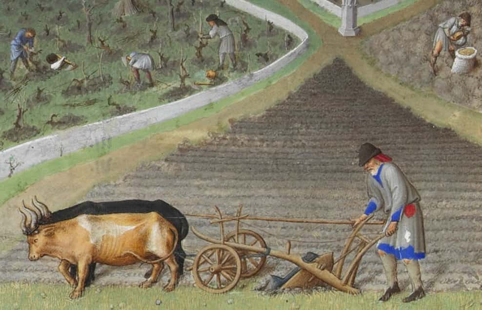 Au Moyen Âge, le paysan était taillable et corvéable. © Wikimedia Commons, domaine public