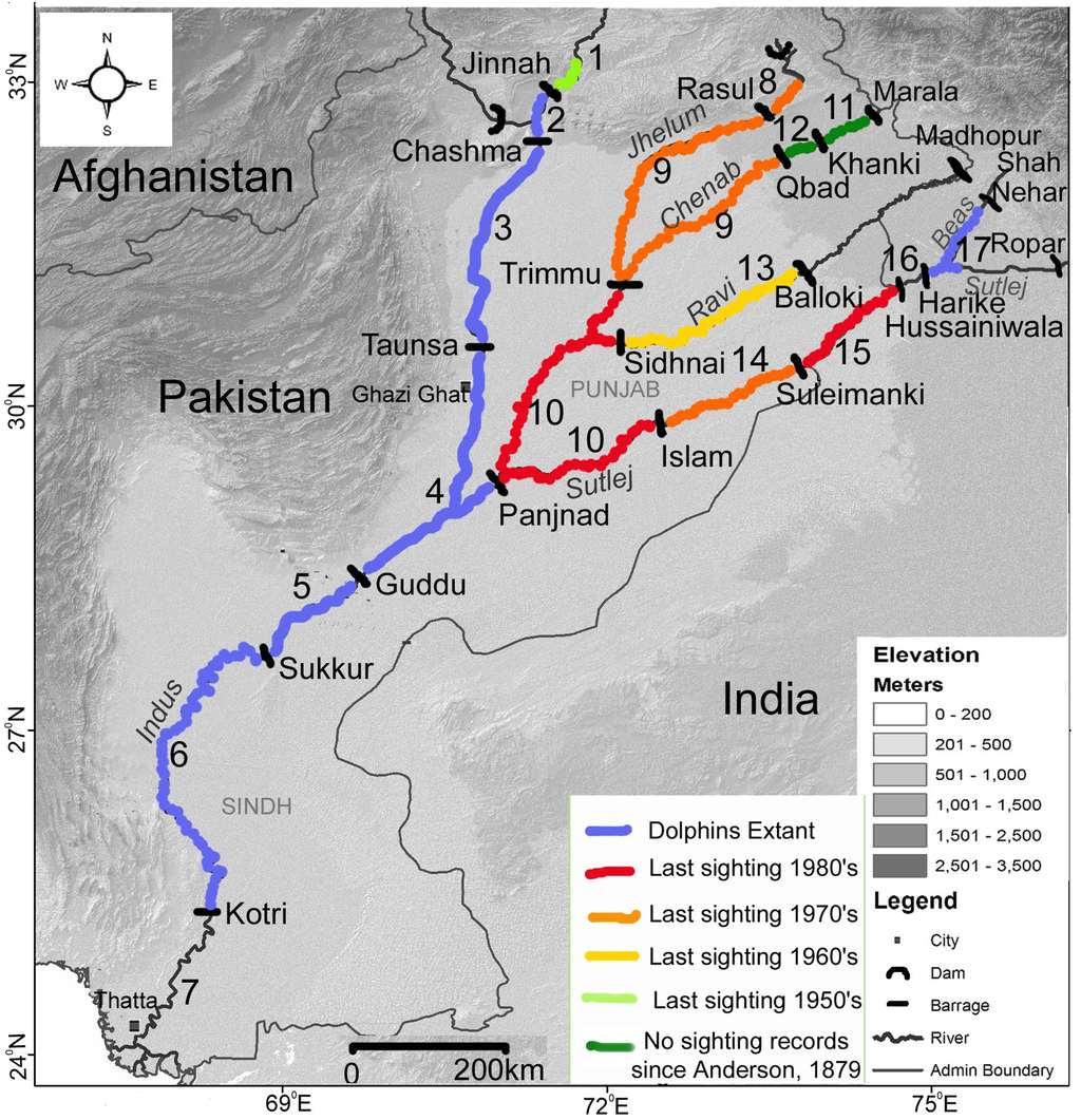 La vallée de l'Indus, au Pakistan, avec tous ses barrages (en noir) à peu près infranchissables par les dauphins, qui ont créé 17 segments. Les couleurs indiquent les observations relatives à <em>Platanista gangenica minor</em>. En bleu : présence ; en rouge, orange, jaune et vert clair : pas d'observation depuis, respectivement, les années 1980, 1970, 1960 et 1950. En vert foncé : pas d'observation depuis celles d'Anderson en 1879. © Gill T. Braulik <em>et al.</em>, <em>Plos One</em>