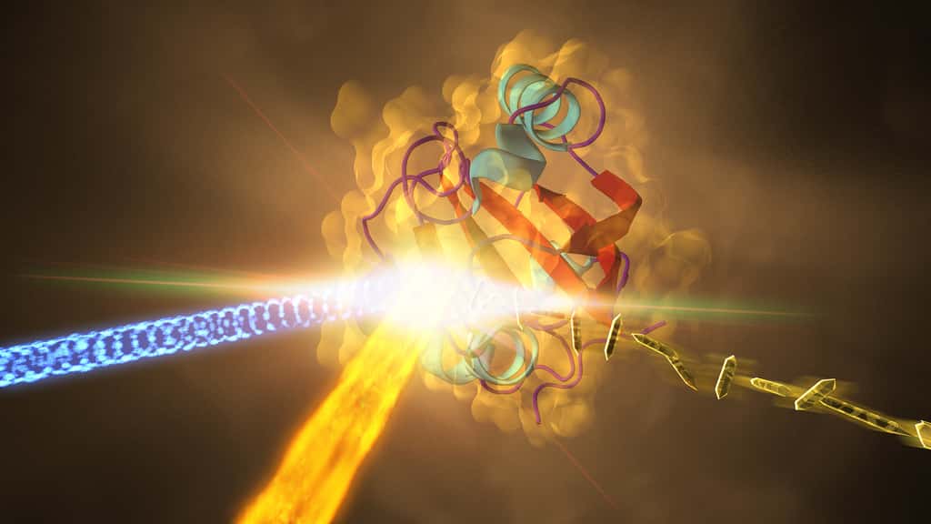 Le laser à rayons X révèle comment les protéines bactériennes se transforment en réponse à la lumière © SLAC, LCLS