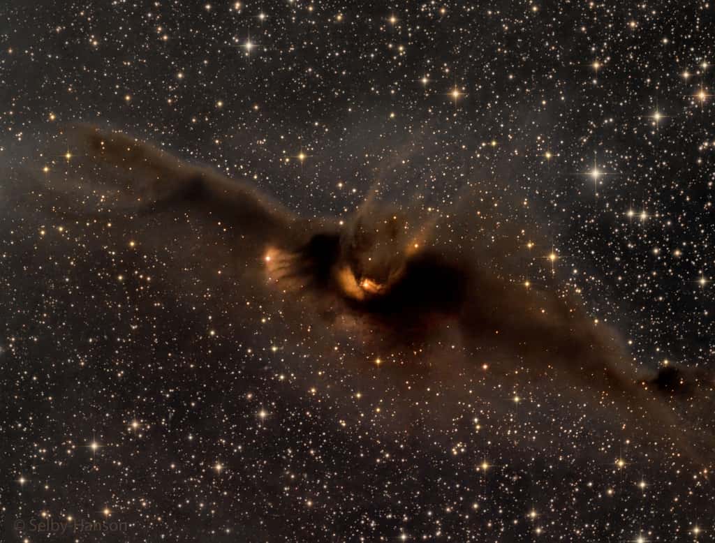 Que voit-on exactement ? Le nuage obscur est LDN 43, une concentration de poussière très opaque dans la constellation d’Ophiuchus où, contrairement à ce qu’on pourrait imaginer, des étoiles sont en train de naître. © Mark Hanson, Mike Selby, Apod (Nasa)