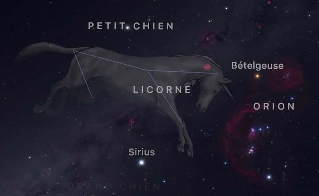 La constellation de la Licorne s'étend entre Orion, le Petit Chien et le Grand Chien dominé par l'étoile Sirius. © SkyGuide 