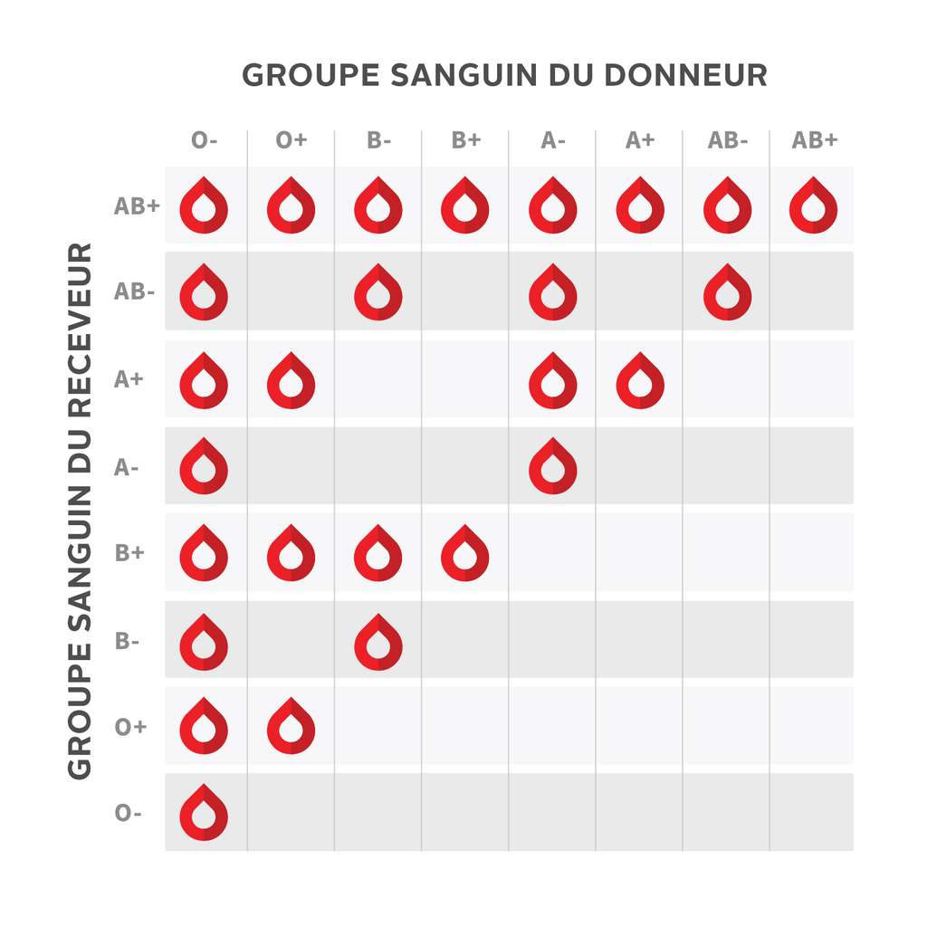 Tableau de compatibilité des groupes sanguins selon le système ABO combiné au facteur rhésus. © <a href="https://www.blood.ca/fr/sang/don-de-sang/groupes-sanguins#:~:text=Du%20sang%20en%20or,Rh%20sur%20les%20globules%20rouges." target="_blank">Société canadienne du sang</a> 