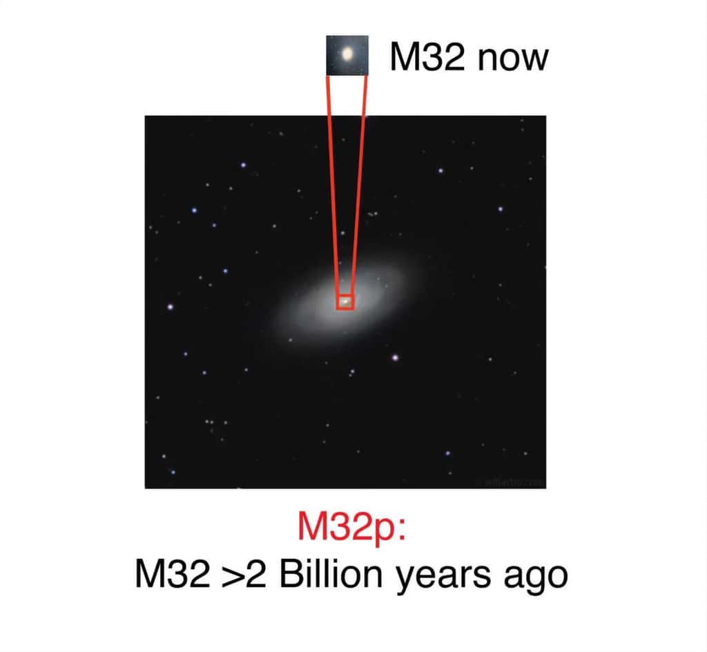 Illustration de M32p, l’ancienne galaxie spirale avant qu’elle ne soit dévorée par Andromède. Deux milliards d’années plus tard, il n’en resterait plus que les os visibles sous la forme de M32, galaxie satellite de la grande M31, et probable ancien noyau de M32p. © Richard D’Souza, Eric Bell, université du Michigan