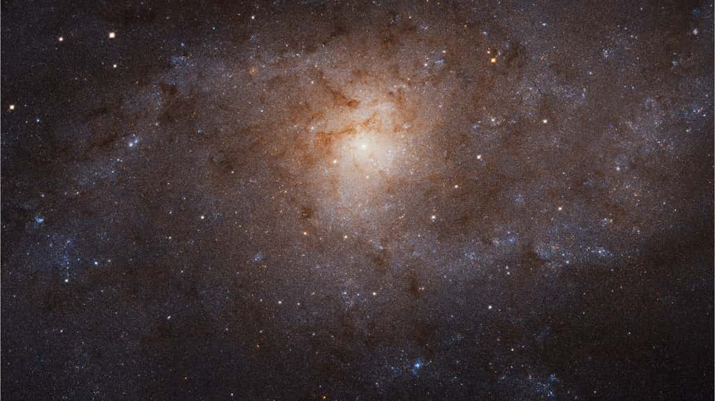 Plus de 25 millions d’étoiles sur cette photo composite de la galaxie spirale M33. Voir plus bas, pour obtenir l'image en très haute résolution. © Nasa, ESA, M. Durbin, J. Dalcanton, B.F. Williams (<em>University of Washington</em>)