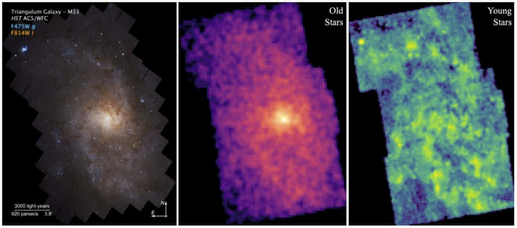La galaxie du Triangle vue par Hubble. À gauche, une image composite de Phatter. La spirale à deux bras est plus distincte dans la distribution des vieilles étoiles (au centre) que des jeunes étoiles (à droite). © A. Smercina, M. J. Durbin, J. Dalcanton, B. F. Williams, Université de Washington, Nasa, ESA