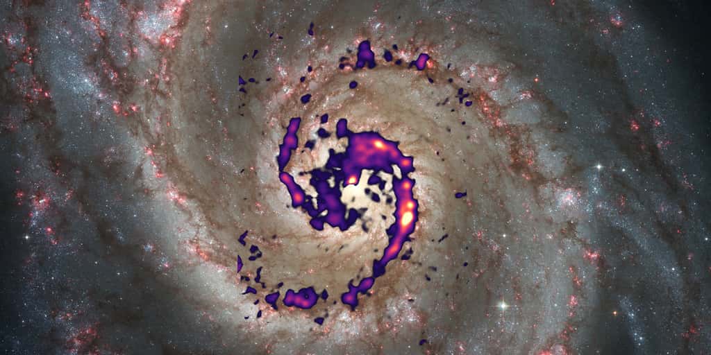 Cette illustration représente la distribution du rayonnement des molécules de diazénylium (fausses couleurs) dans la galaxie du Tourbillon (<em>Whirlpool</em> en anglais) comparée à une image dans le visible. Les zones rougeâtres sur la photographie représentent des nébuleuses gazeuses lumineuses contenant des étoiles chaudes et massives traversant des zones sombres de gaz et de poussière dans les bras spiraux. La présence de diazénylium dans ces régions sombres suggère des nuages de gaz particulièrement froids et denses. © Thomas Müller (HdA/MPIA), S. Stuber et al. (MPIA), Nasa, ESA, S. Beckwith (STScI), et <em>the Hubble Heritage Team</em> (STScI/AURA)
