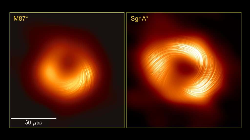 Vu ici en lumière polarisée, cette image côte à côte des trous noirs supermassifs M87* et Sagittarius A* indique aux scientifiques que ces bêtes ont des structures de champ magnétique similaires. Ceci est important car cela suggère que les processus physiques qui régissent la manière dont un trou noir alimente et lance un jet pourraient être des caractéristiques universelles parmi les trous noirs supermassifs. L'échelle montre la taille apparente sur le ciel de ces images, en unités de micro-arcsecondes. Un doigt tenu à bout de bras mesure 1 degré sur le ciel ; une micro-arcseconde est 3,6 milliards de fois plus petite que cela. En contexte, les images de ces trous noirs ont une taille apparente similaire à celle d'un beignet à la surface de la Lune. © Collaboration EHT