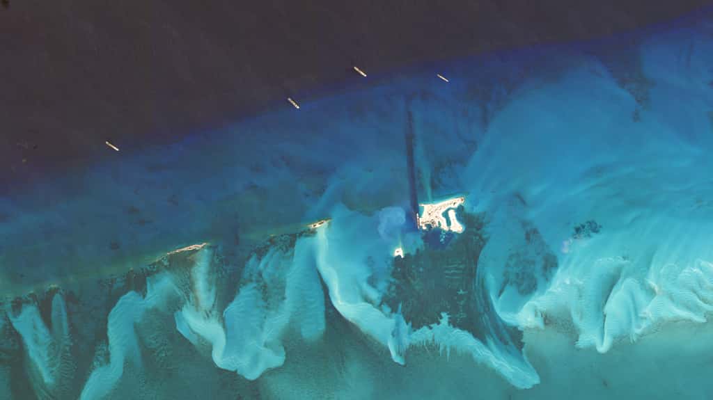 Les paquebots de croisière de MSC stationnés à proximité de la réserve marine Ocean Cay (Bahamas) de MSC. © 2020 Planet Labs, Inc