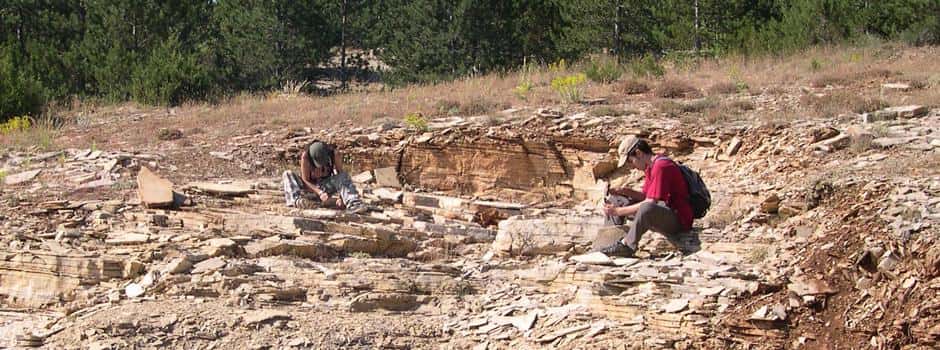 Les calcaires laminés du site de Hoyas où le petit mammifère a été découvert. © R. Vullo
