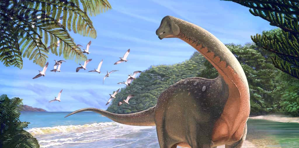Les titanosaures étaient des géants de près de 100 tonnes. © Andrew McAfee, <em>Carnegie Museum of Natural History</em>