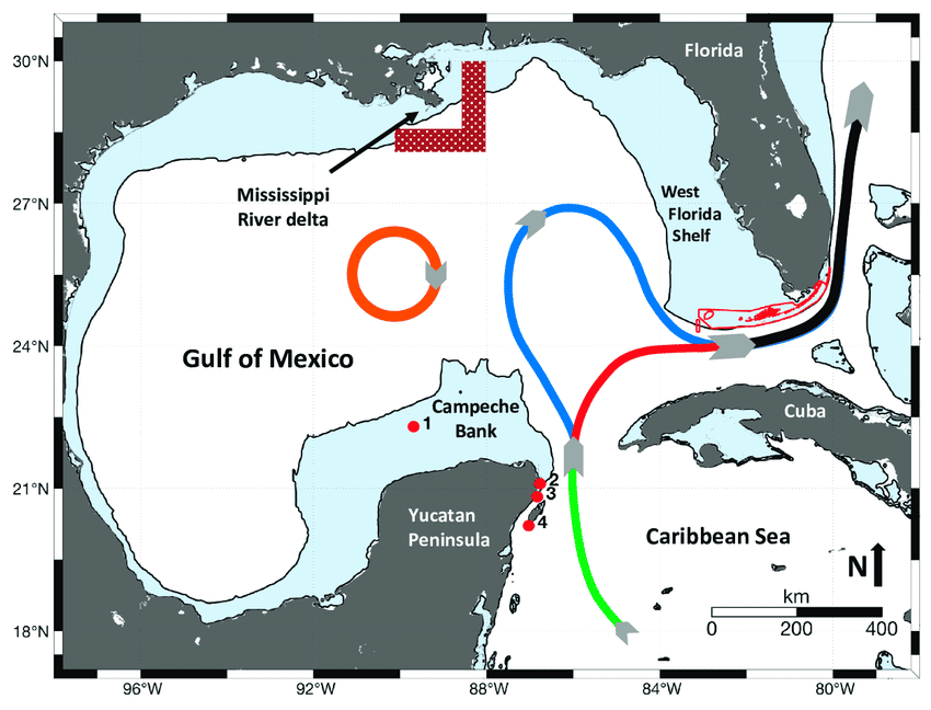 Le <em>Loop Current</em> dans le golfe du Mexique avec, en gris, les terres. En vert, l'entrée du courant dans le golfe, en rouge la version retractée du courant, et en bleu la version étendue du courant comme en 2022. © ResearchGate