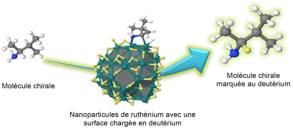 Échange isotopique entre le carbone chiral de la molécule (à gauche) et la nanoparticule de ruthénium (au milieu), dont la surface est imprégnée en deutérium. Ici, un atome de deutérium (en jaune sur le dessin de droite) vient remplacer un atome d'hydrogène. Ce marquage de la molécule s'effectue sans modifier sa structure tridimensionnelle initiale, donc en lui conservant toutes ses propriétés. © Romuald Poteau (CNRS) et Grégory Pieters (CEA)