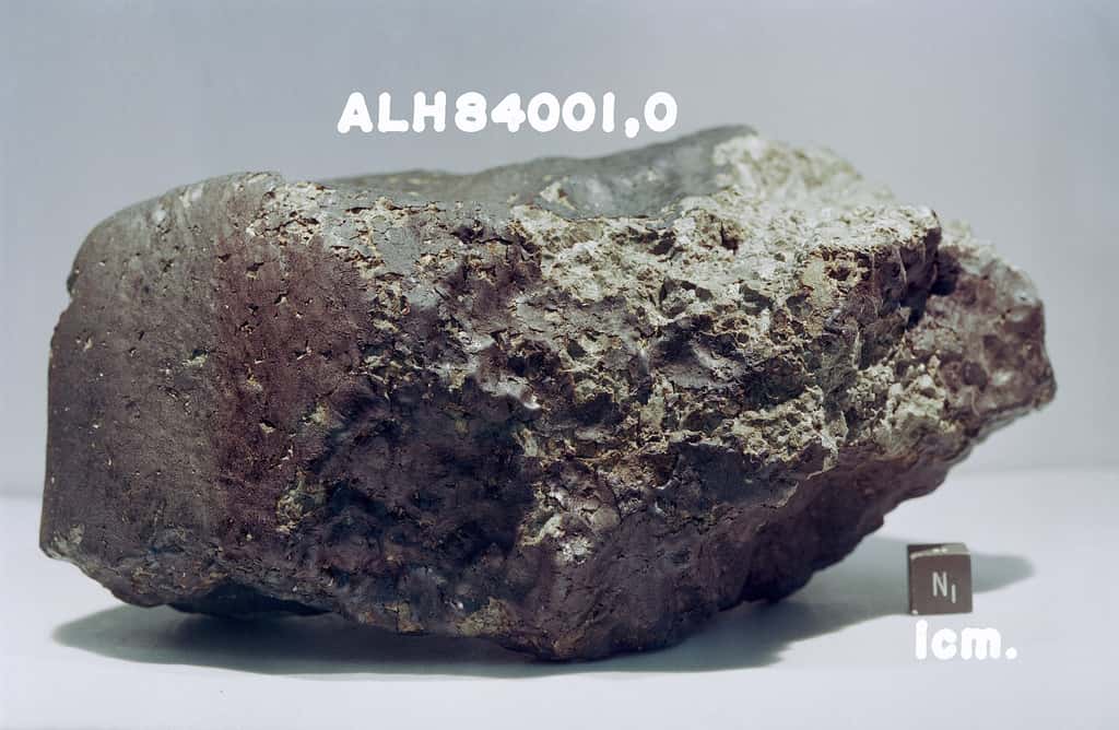 La fameuse météorite martienne ALH84001. © Nasa
