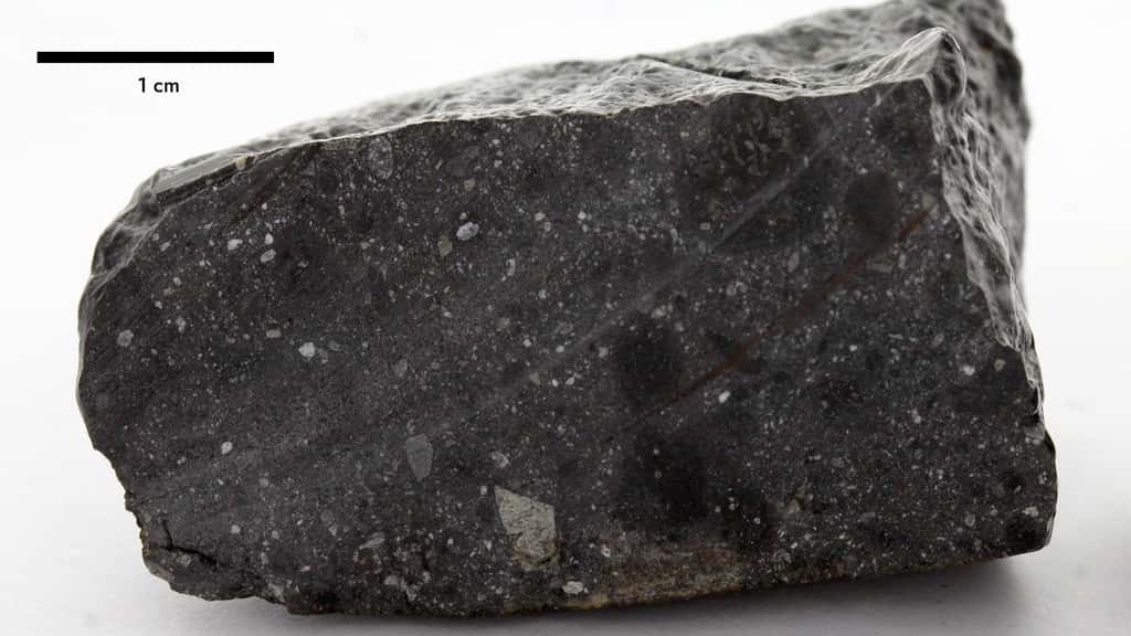 La météorite martienne NWA 7533, surnommée « <em>Black Beauty</em> ». © Luc Labenne