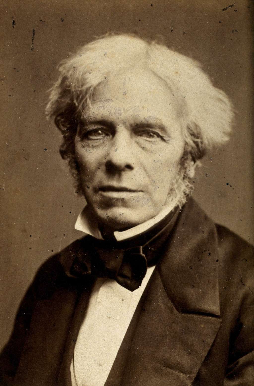 Photo de Michael Faraday par John Watkins, en 1867. © Wikimedia Commons, domaine public.