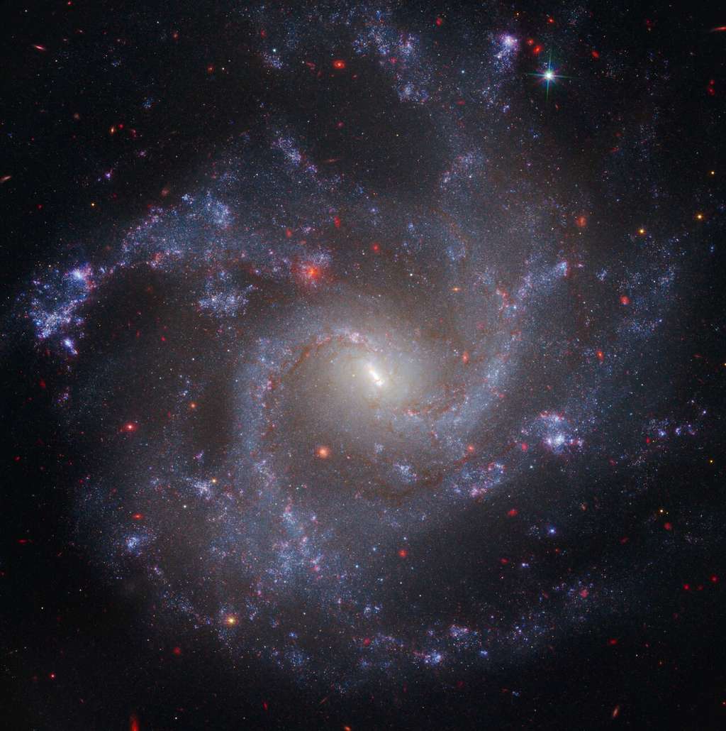 Cette image de NGC 5468, une galaxie située à environ 130 millions d'années-lumière de la Voie lactée, combine les données des télescopes spatiaux Hubble et James-Webb. Il s’agit de la galaxie la plus éloignée dans laquelle Hubble a identifié des étoiles variables Céphéides. Ce sont des jalons importants pour mesurer le taux d’expansion de l’Univers. La distance calculée à partir des Céphéides a été corrélée avec une supernova de type Ia dans la galaxie. Les supernovae de type Ia sont si brillantes qu’elles sont utilisées pour mesurer des distances cosmiques bien au-delà de la portée des Céphéides, étendant ainsi les mesures du taux d’expansion de l’Univers plus profondément dans l’espace. © Nasa, ESA, CSA, STScI, A. Riess (JHU/STScI)