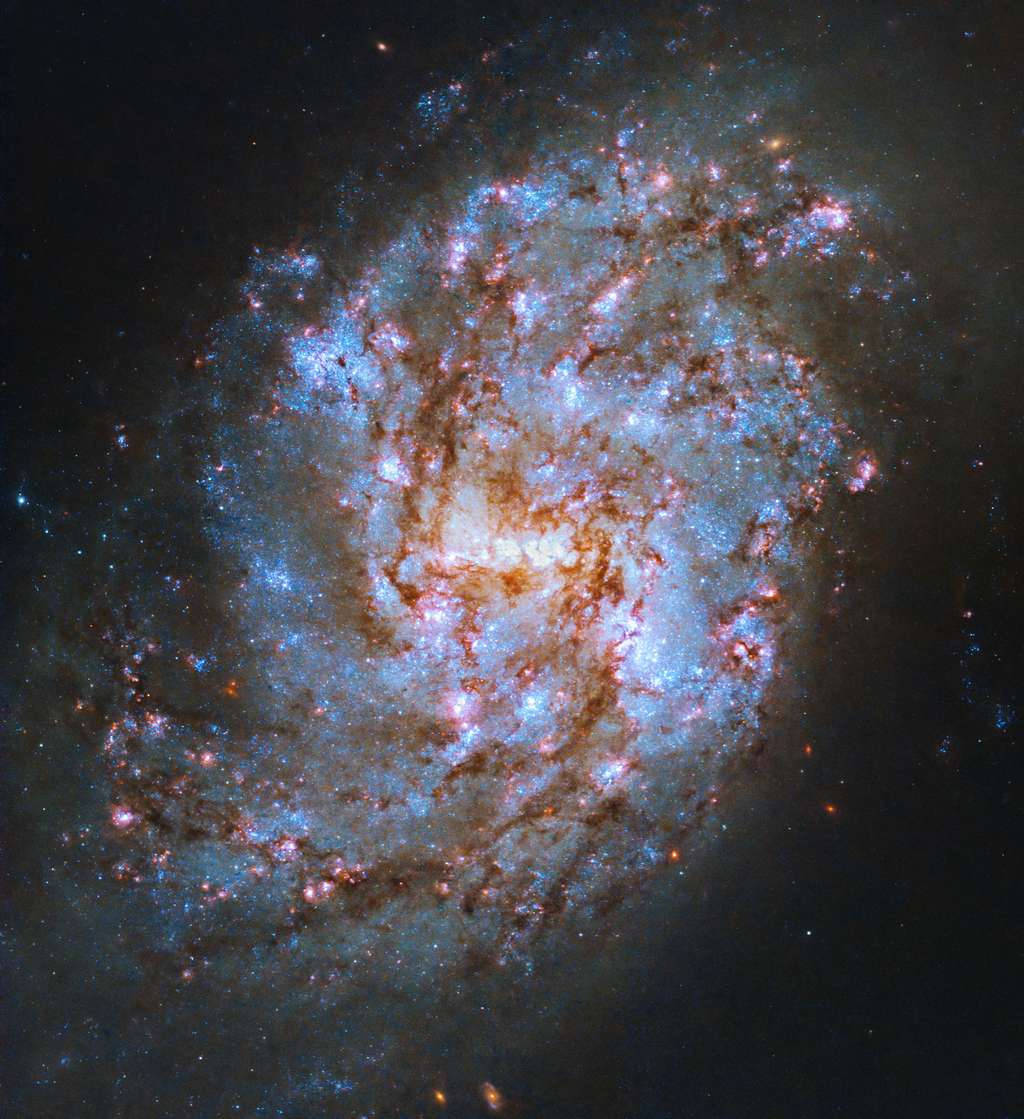 La galaxie spirale NGC 1087 vue par Hubble. © Télescope spatial Hubble de la Nasa, ESA, R. Chandar (Université de Tolède) et J. Lee (<em>Space Telescope Science Institute</em>) ; Traitement : Gladys Kober (Nasa, université catholique d'Amérique)