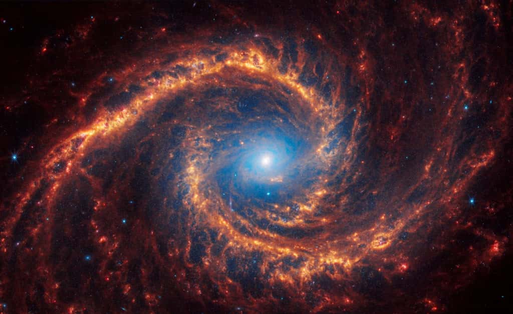 NGC 1566 se trouve à 60 millions d’années-lumière de la Voie lactée dans la constellation la Dorade. © Nasa, ESA, CSA, STScI, Janice Lee (STScI), Thomas Williams (Oxford), PHANGS Team, Elizabeth Wheatley (STScI)