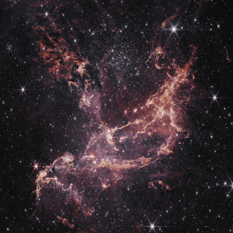 L'amas d'étoiles NGC 346, où se trouve l'étoile binaire SSN7. Ceci est une image de la caméra proche infrarouge (NIRCam) du télescope spatial James-Webb de la Nasa. ©  Nasa, ESA, CSA, O. Jones (UK ATC), G. De Marchi (ESTEC), and M. Meixner (USRA). Image processing: A. Pagan (STScI), N. Habel (USRA), L. Lenkic (USRA) and L. Chu (Nasa/Ames)