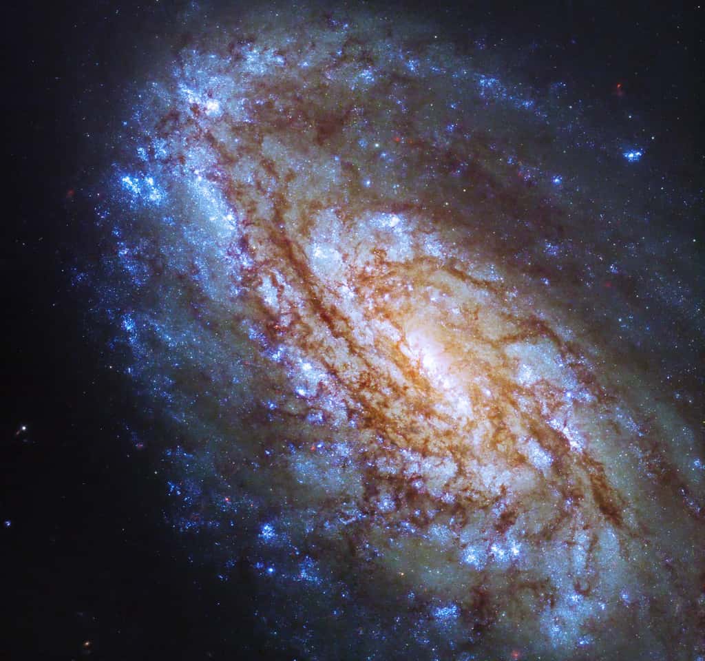 La galaxie spirale NGC 4654. © Télescope spatial Hubble de la Nasa, ESA et J. Lee (<em>Space Telescope Science Institute</em>) ; Traitement : Gladys Kober (Nasa, université catholique d'Amérique)