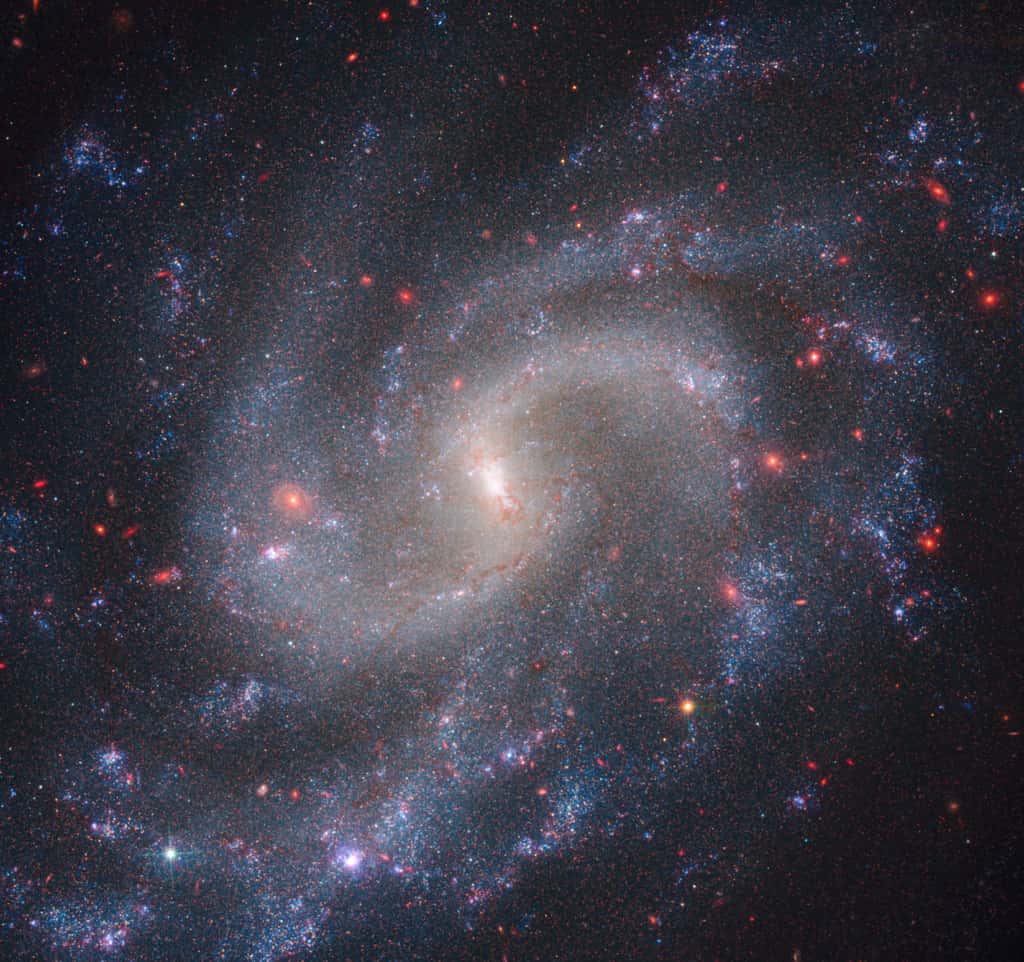 Les observations combinées de la NIRCam <em>(Near-Infrared Camera)</em> de la Nasa et de la WFC3 <em>(Wide Field Camera 3)</em> de Hubble montrent la galaxie spirale NGC 5584, qui réside à 72 millions d’années-lumière de la Terre. Parmi les étoiles brillantes de NGC 5584 se trouvent des étoiles pulsantes appelées variables céphéides. Les astronomes utilisent les variables céphéides comme marqueurs de distance fiables pour mesurer le taux d’expansion de l’Univers. © Nasa, ESA, CSA et A. Riess (STScI)