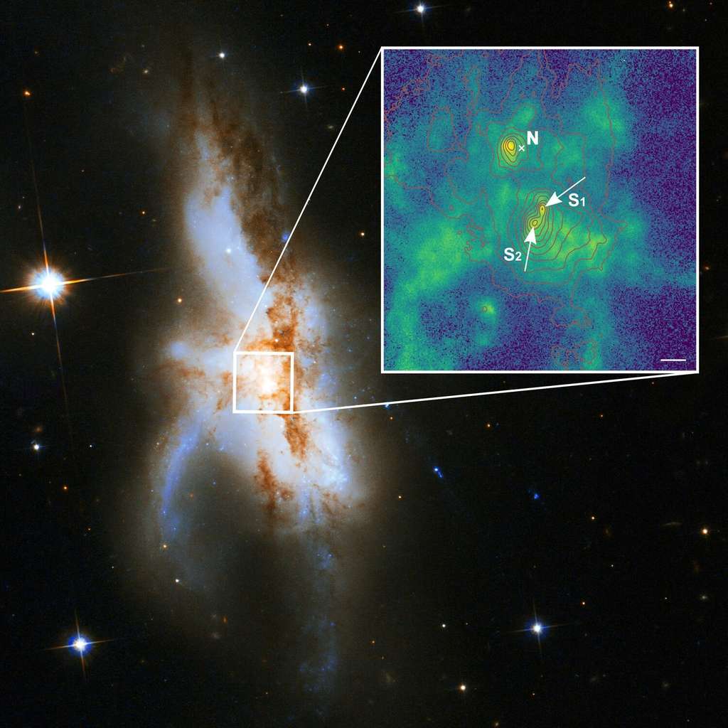 La galaxie irrégulière NGC 6240. De nouvelles observations montrent qu'elle abrite non pas deux mais trois trous noirs supermassifs en son noyau. Le trou noir nord (N) est actif et était connu auparavant. La nouvelle image agrandie à haute résolution spatiale montre que la composante sud consiste en deux trous noirs supermassifs (S1 et S2). La couleur verte indique la distribution du gaz ionisé par le rayonnement entourant les trous noirs. La longueur de la barre blanche correspond à 1.000 années-lumière. © P Weilbacher (AIP), Nasa, ESA, <em>the Hubble Heritage</em> (STScI-Aura), ESA-Hubble Collaboration, et A Evans (<em>University of Virginia</em>, Charlottesville-NRAO-<em>Stony Brook University</em>) 