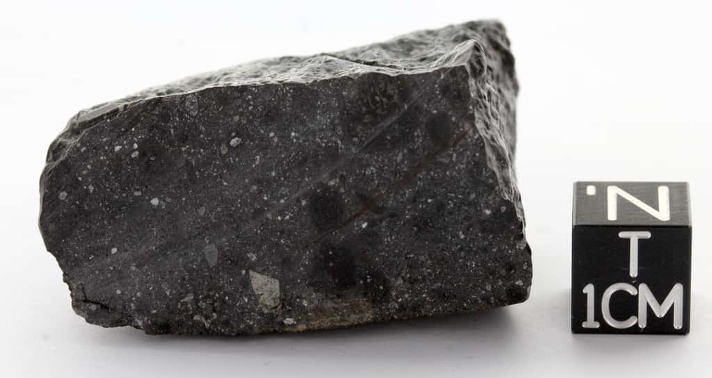 La météorite NWA 7533, représentant un fragment de l'ancienne croûte de Mars. © Martin Bizzarro 