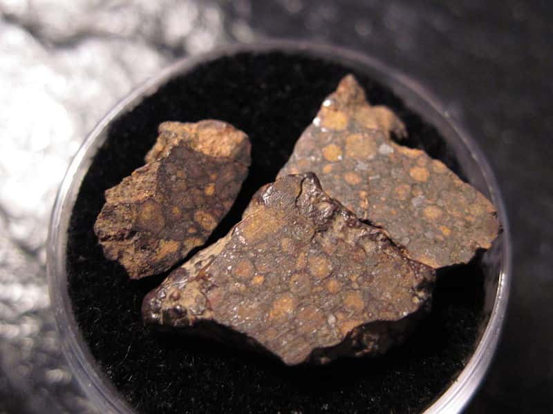 Un échantillon de la météorite NWA 801 de type CR. Les météorites du groupe CR portent le nom de leur spécimen type, qui est tombé en Italie en 1824 à Renazzo. Il n’existe qu’une quinzaine de chondrites CR connues. La principale différence avec les chondrites CM est qu'elles contiennent jusqu'à 10 % de métal réduit sous forme de nickel-fer et de sulfure de fer. © Jon Taylor, CC by-sa 2.0