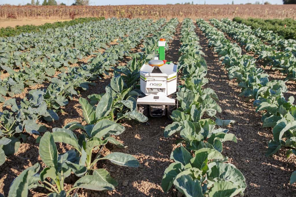 Les robots agricoles, des alliés de plus en plus fonctionnels. © Naïo Technologies