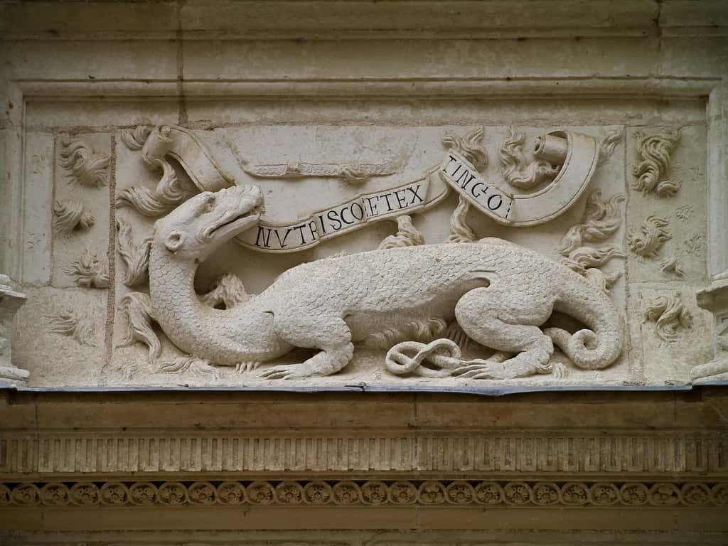 La salamandre, emblème du roi François Ier, avec sa devise <em>Nutrisco et extinguo</em> (« Je nourris et j'éteins »), capturée au Château d'Azay-le-Rideau. © Myrabella, Wikimedia Commons