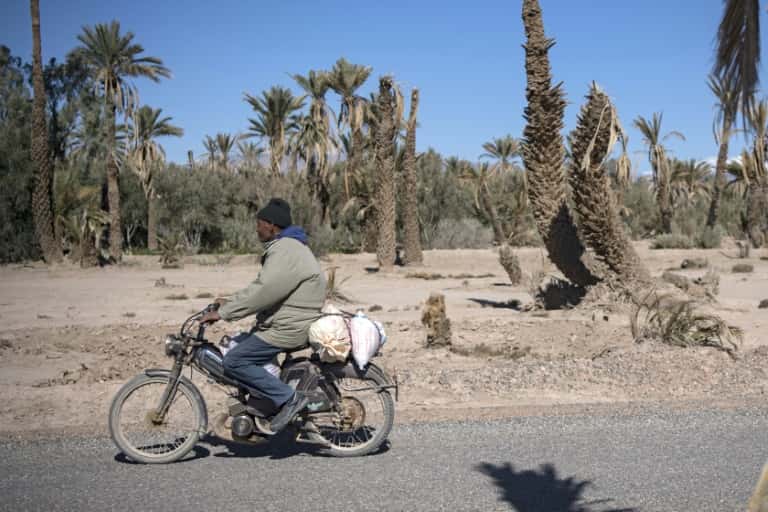 Paysage de désolation dans l'oasis de Skoura, dans le sud-est du Maroc. © Fadel Senna, AFP