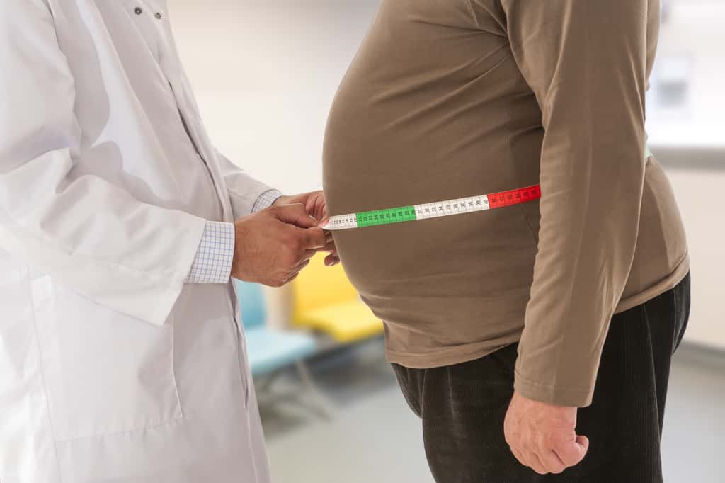 Les personnes obèses ou en surpoids, touchées par le coronavirus, représentent une proportion élevée des patients admis dans les services de réanimation. © JPC-PROD, Adobe Stock
