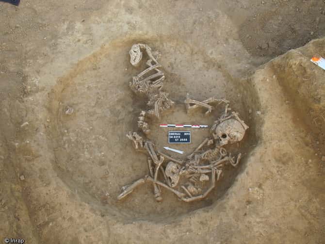 Dépôt de deux enfants et de plusieurs chiens au fond d'un silo, entre 450 et 350 avant notre ère. Ces restes ont été découverts à Obernai (Bas-Rhin) en 2013. © Nicolas Loew, Inrap