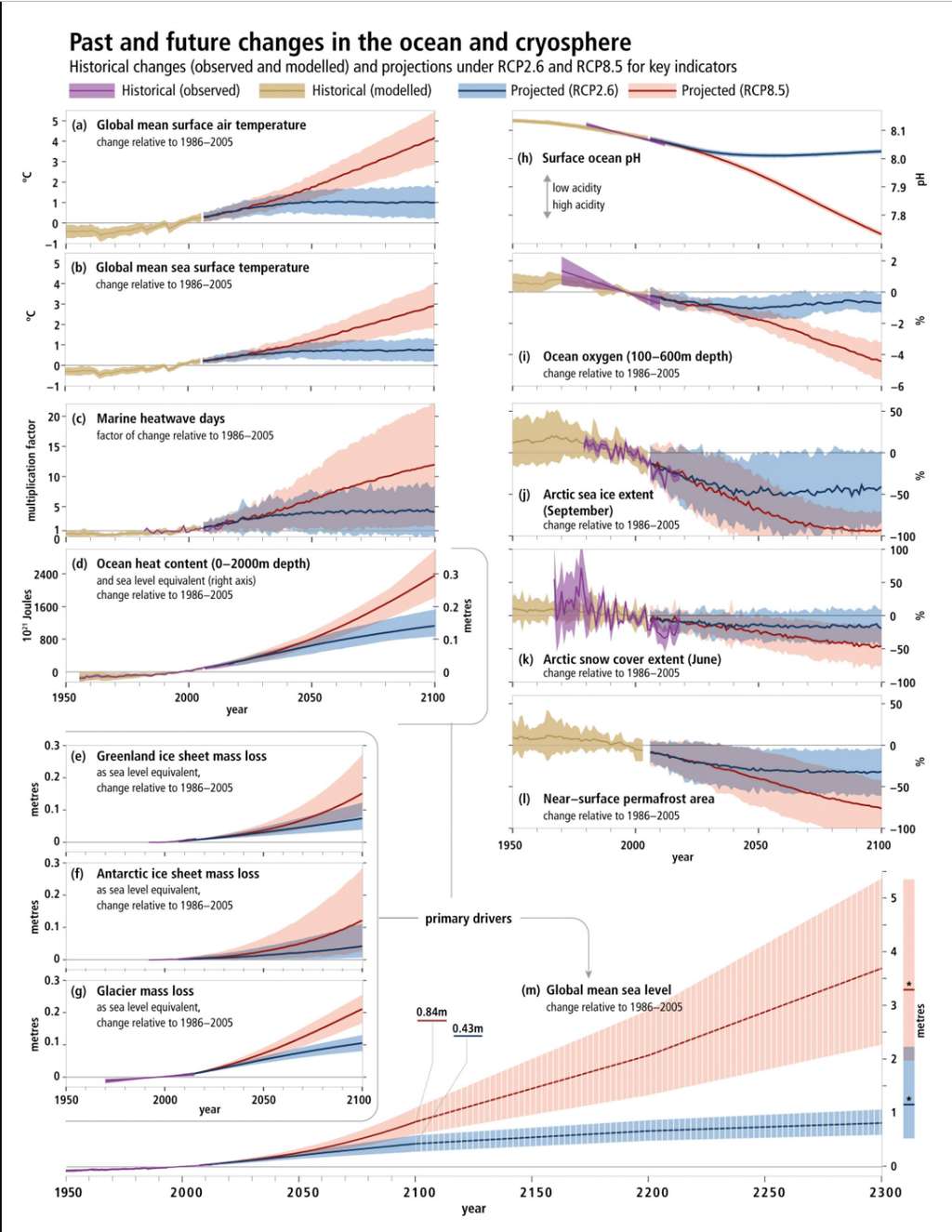 Historique depuis les années 1950 et projections des changements des océans et de la cryosphère. © IPCC