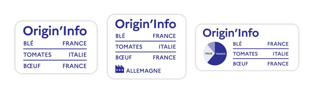 Trois formats de logos sont possibles ©Origin'Info