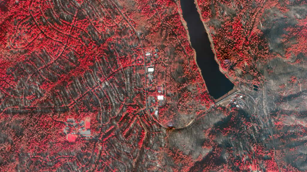 La ville de Paradise observée dans l'infrarouge, ce qui permet de voir tous les foyers d'incendies. © 2018 Planet Labs, Inc.