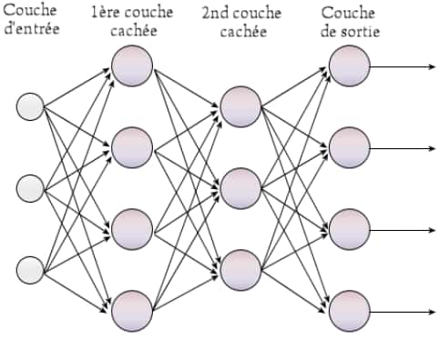Un réseau de neurones formels de type Perceptron multicouche. © HRCommons
