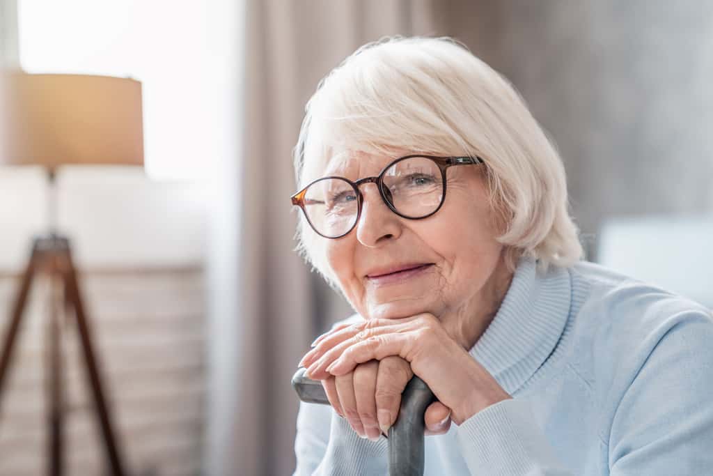 La téléassistance permet de sécuriser les personnes âgées qui vivent seules chez elles. © InsideCréativeHouse, Adobe Stock