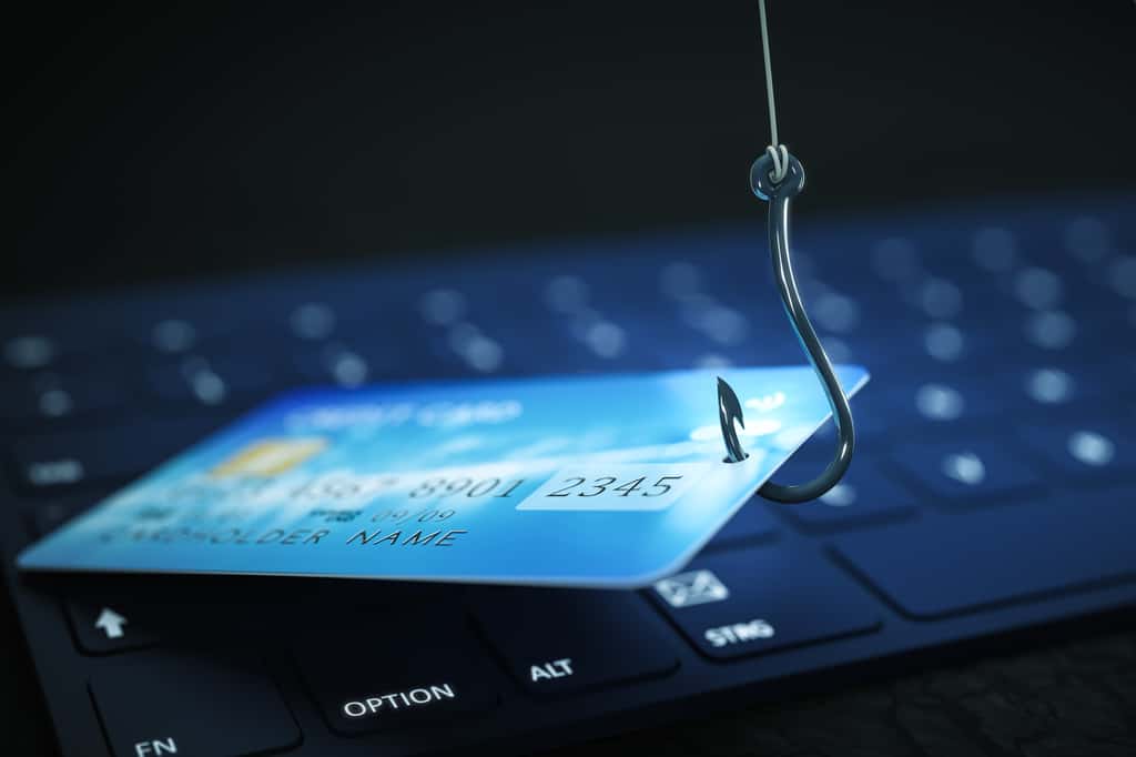 Le <em>phishing</em> (ou hameçonnage) est une forme d'escroquerie sur Internet. Des solutions existent pour s'en prémunir. © magann, Adobe Stock
